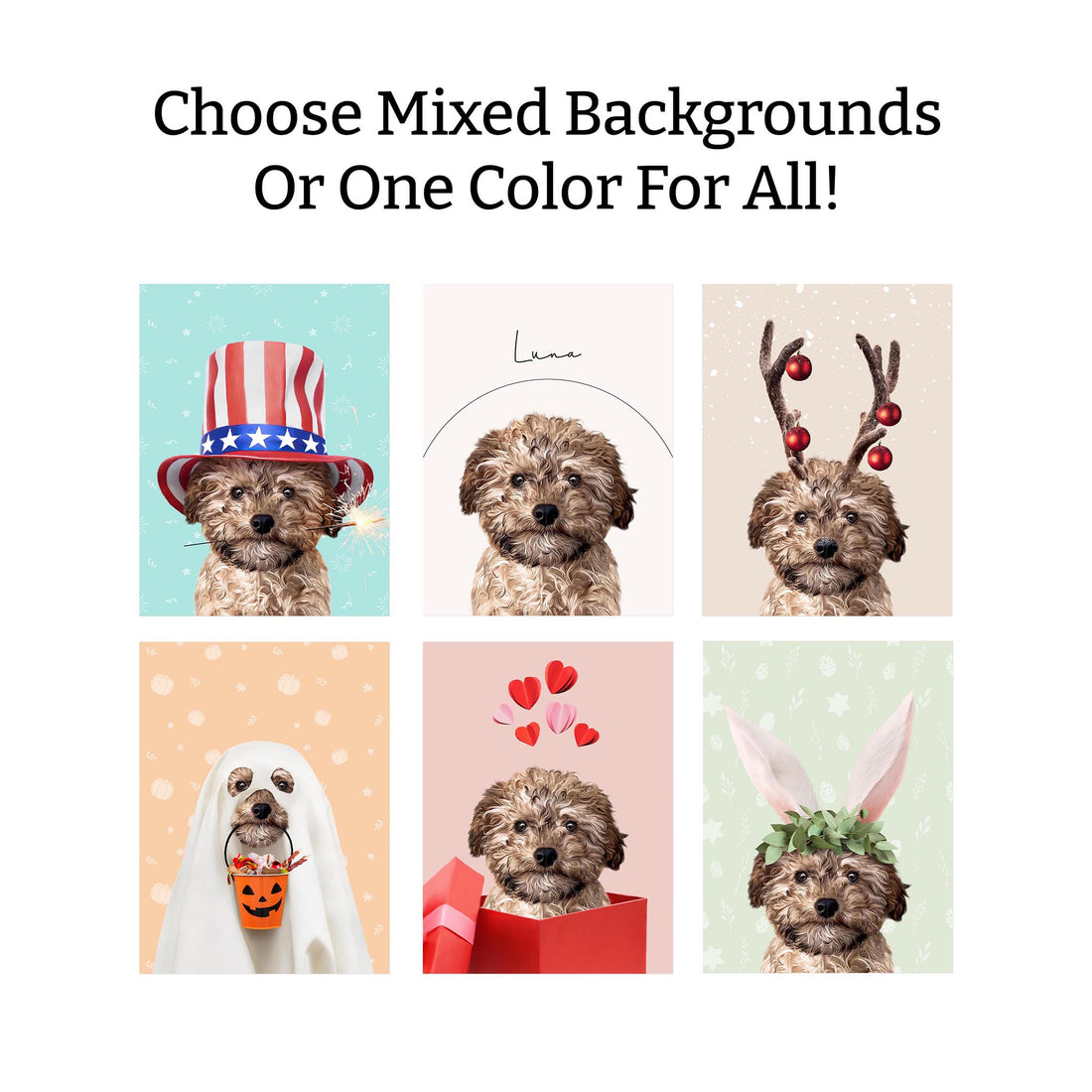 Holiday Bundle: 6 Pack