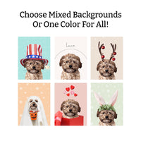 Holiday Bundle: 6 Pack
