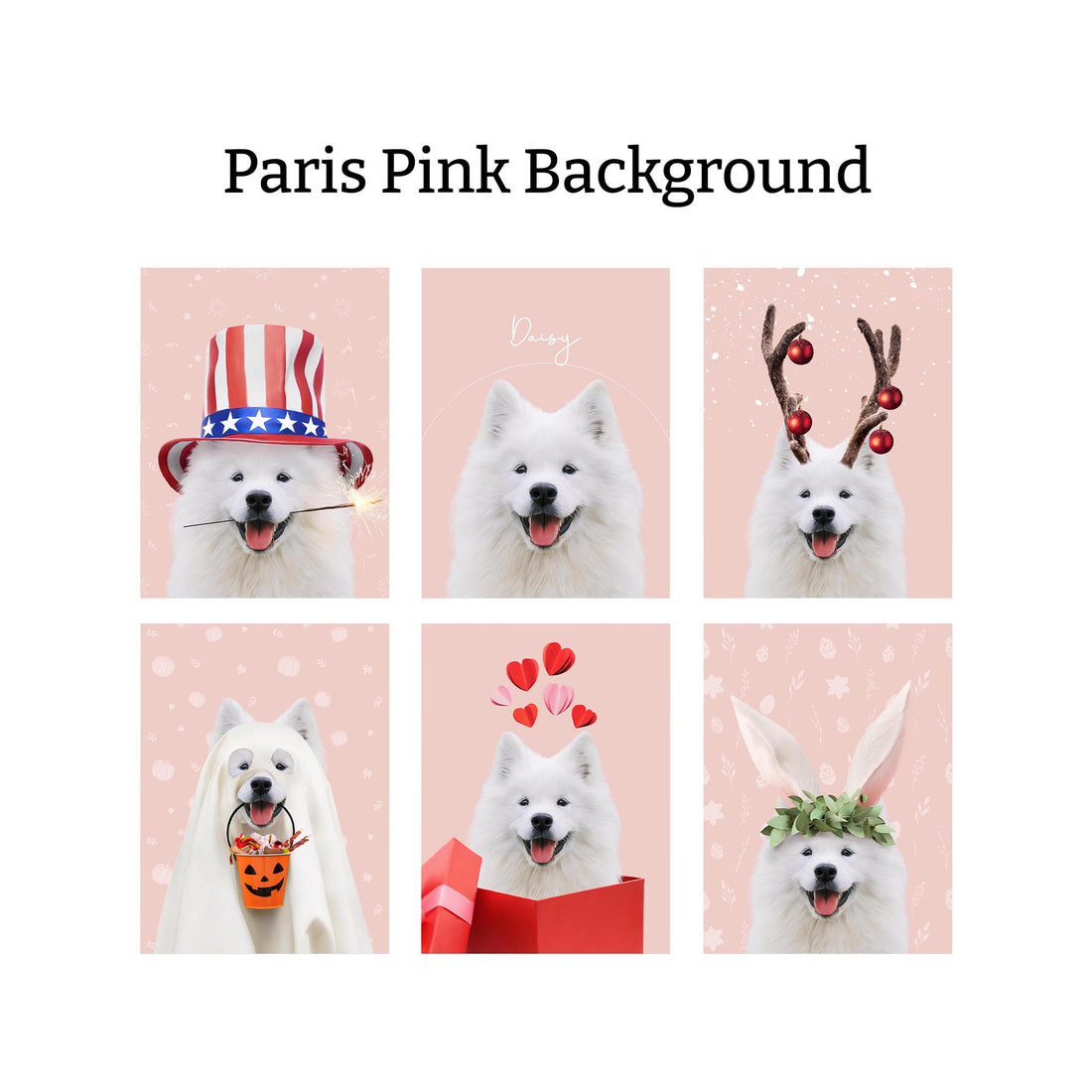 Holiday Bundle: 6 Pack