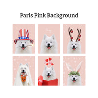 Holiday Bundle: 6 Pack