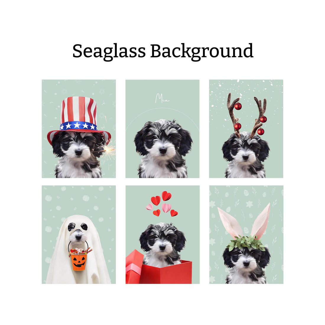 Holiday Bundle: 6 Pack
