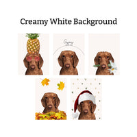 Seasons Bundle: 5 Pack