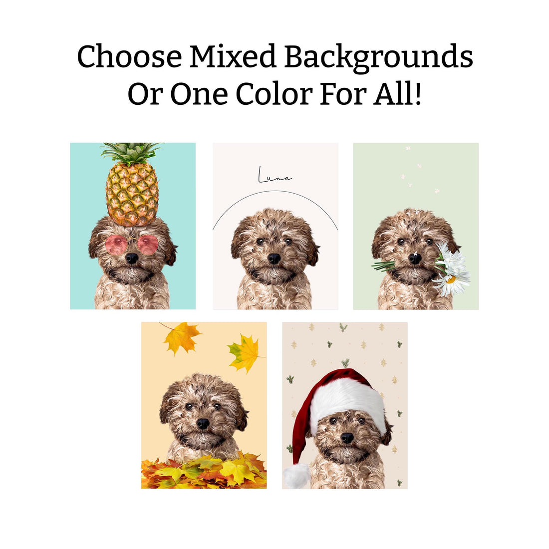 Seasons Bundle: 5 Pack