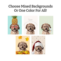 Seasons Bundle: 5 Pack