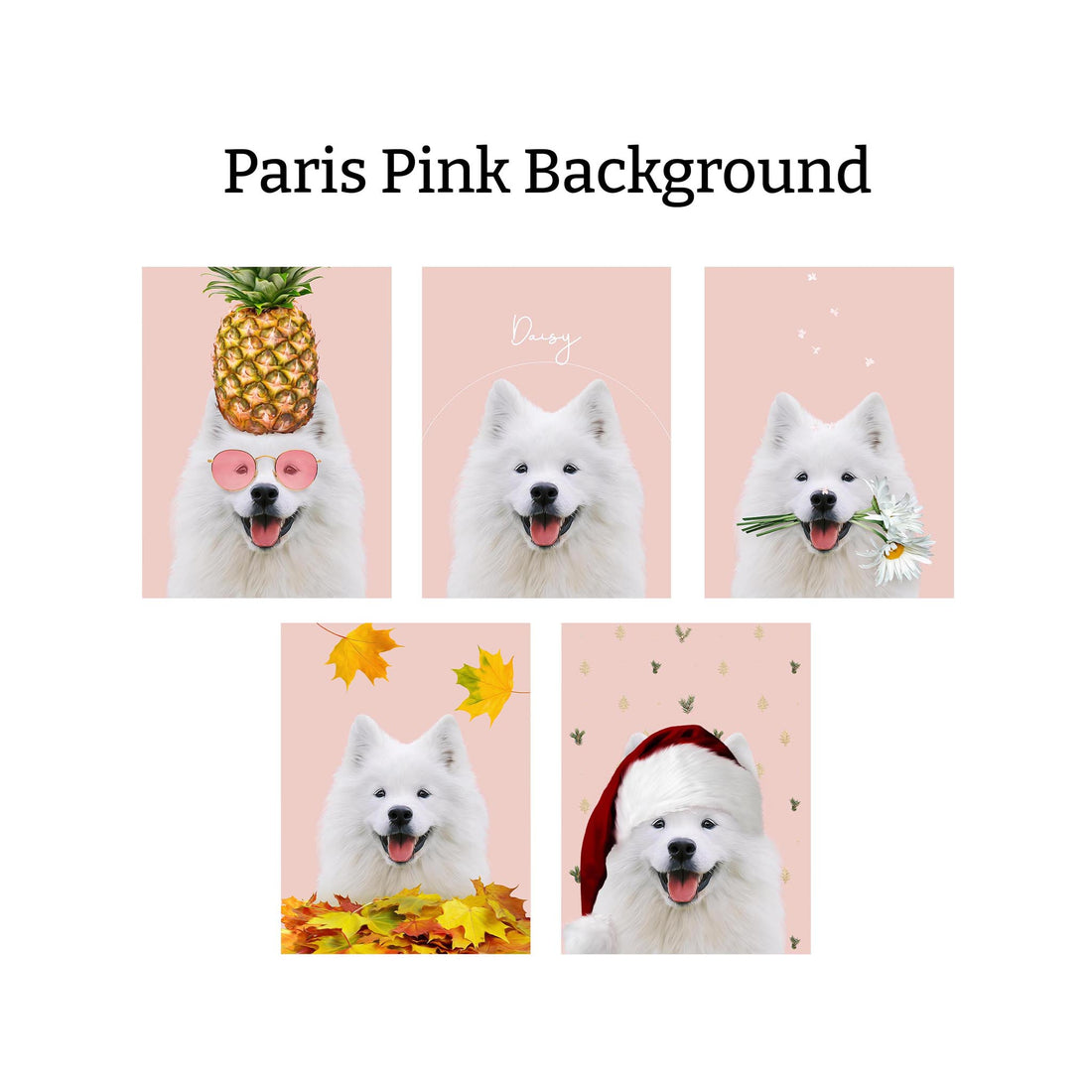 Seasons Bundle: 5 Pack