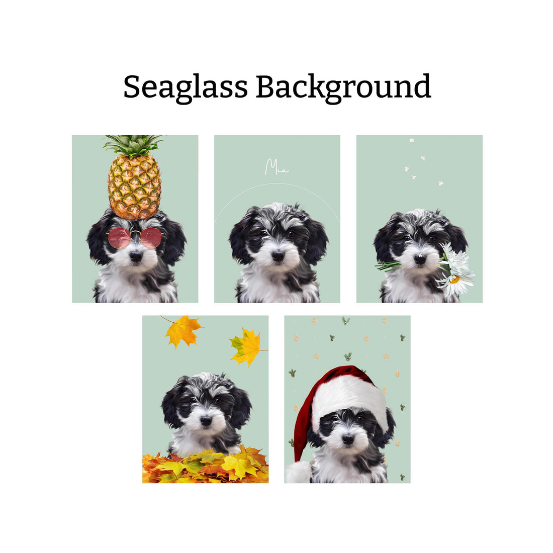 Seasons Bundle: 5 Pack