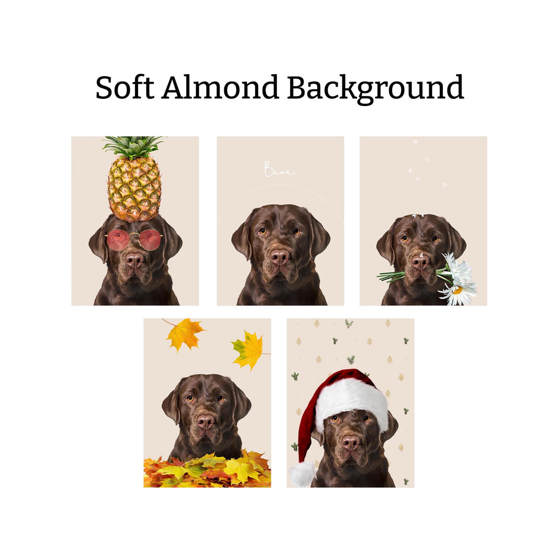 Seasons Bundle: 5 Pack