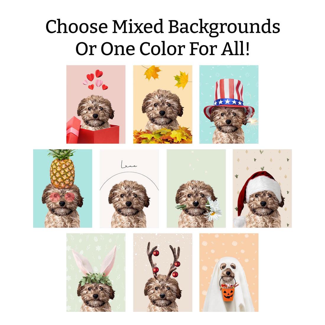 Ultimate Bundle: 10 Pack