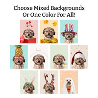 Ultimate Bundle: 10 Pack