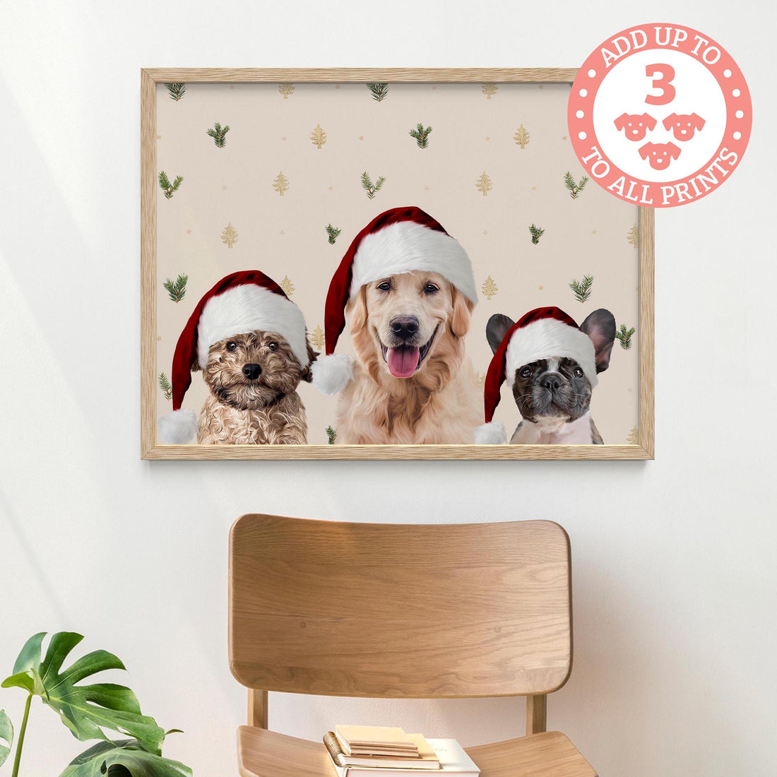 Seasons Bundle: 5 Pack
