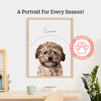 Seasons Bundle: 5 Pack