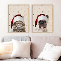 Seasons Bundle: 5 Pack