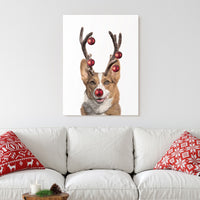 Little Reindeer