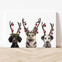 Holiday Multi - 3 Pets