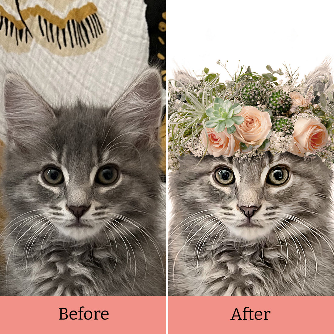 Flower Crown Multi - 2 Pets