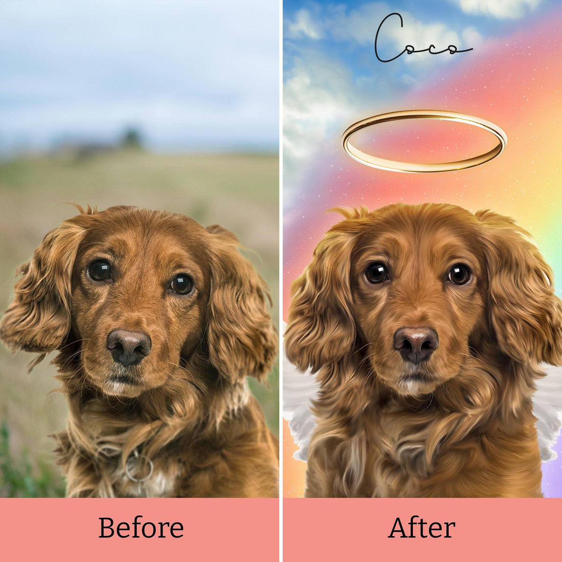 Angel Light Up Frame