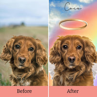 Angel Light Up Frame