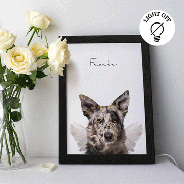 Angel Light Up Frame