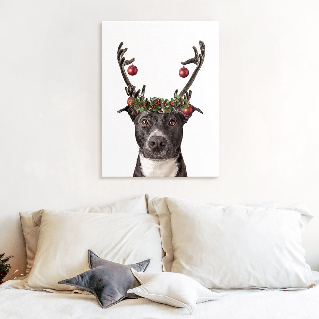 Reindeer