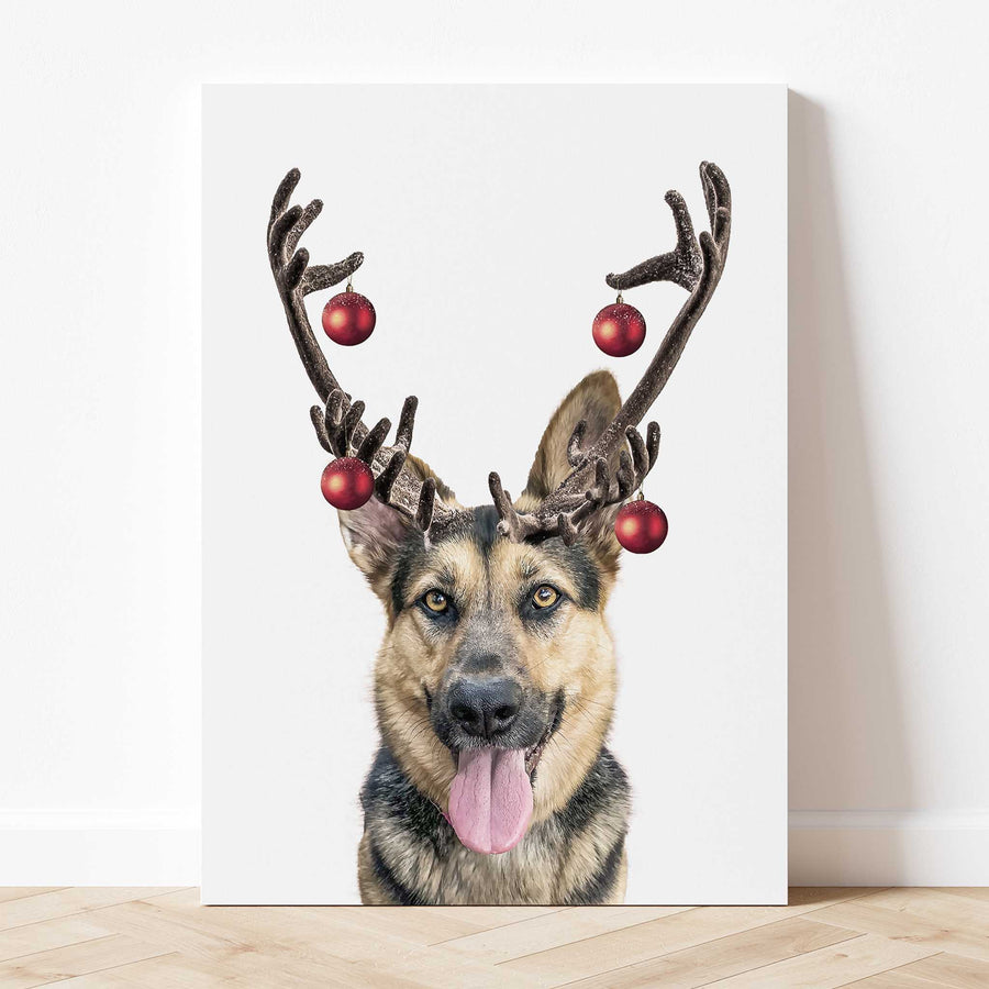 Reindeer