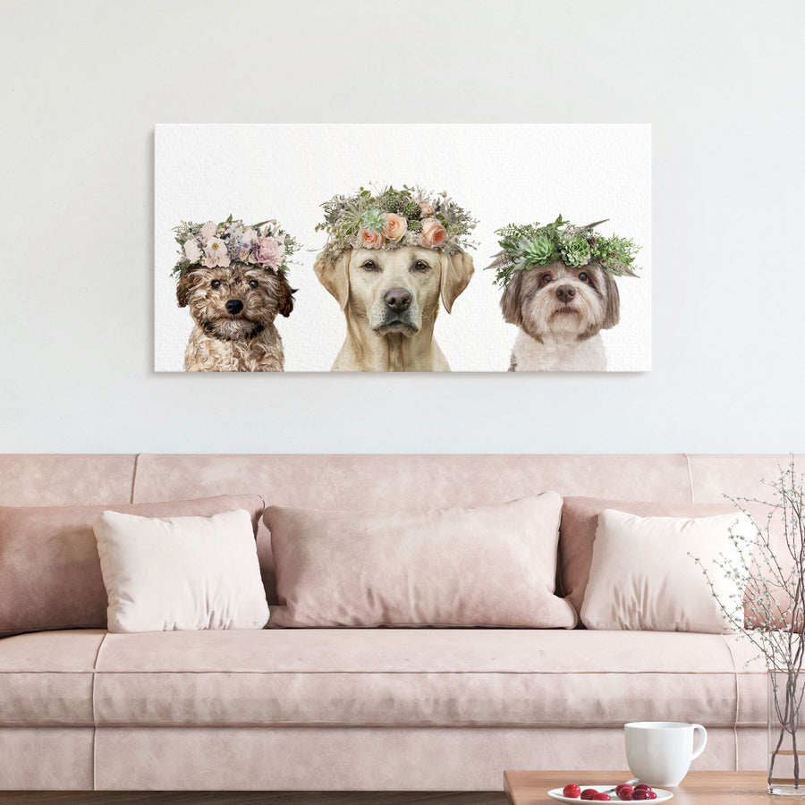 Flower Crown Multi - 3 Pets