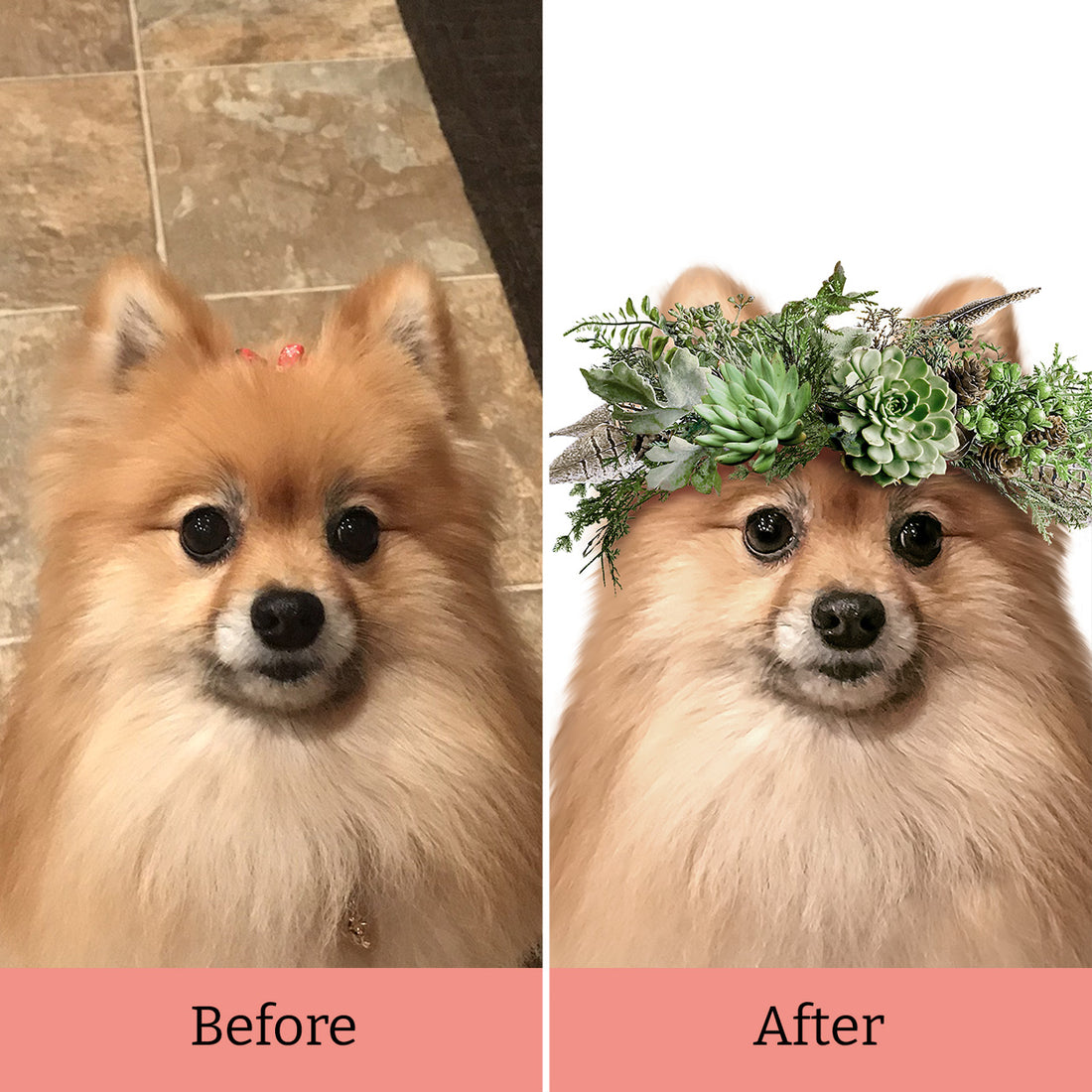 Flower Crown Multi - 3 Pets