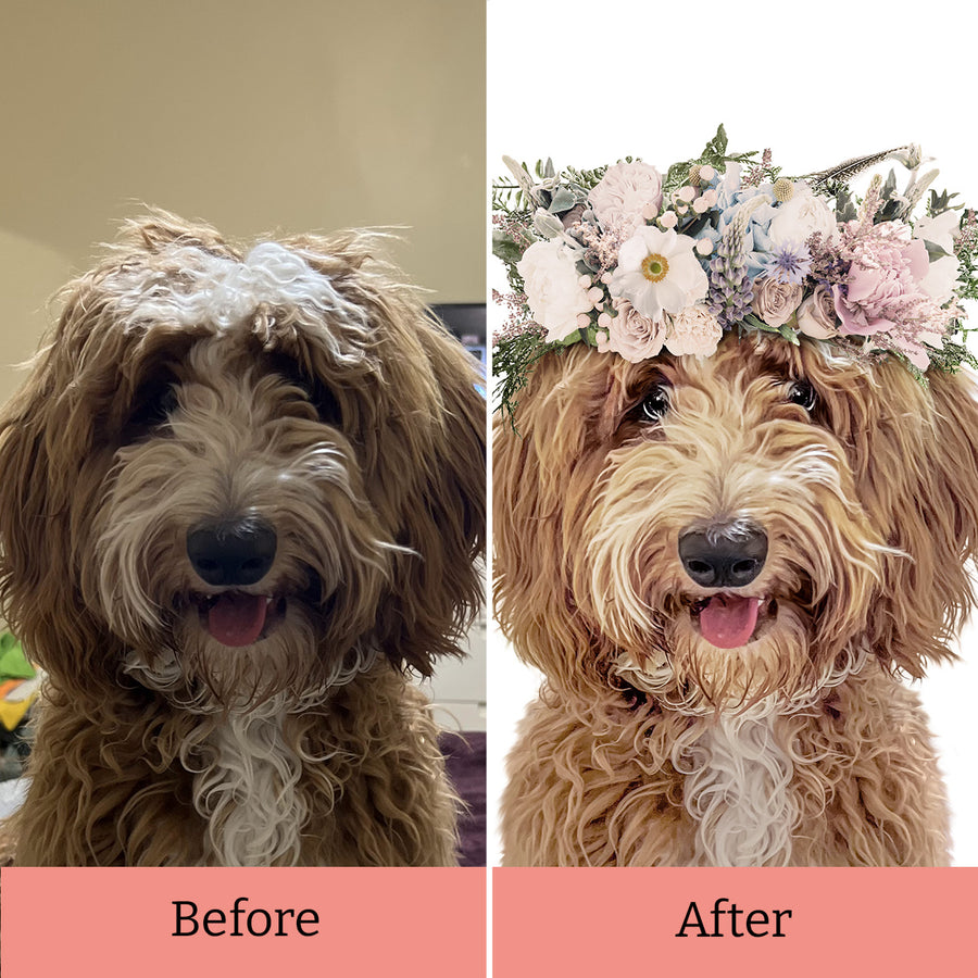 Flower Crown Multi - 2 Pets