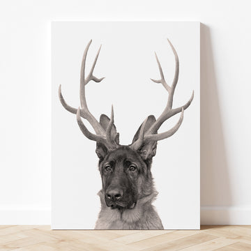 Elk